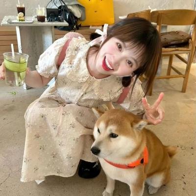 春香闹学