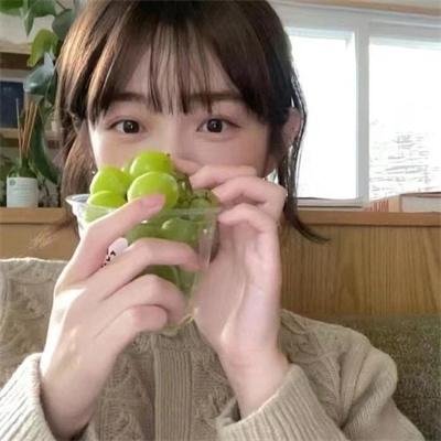 营地藏身